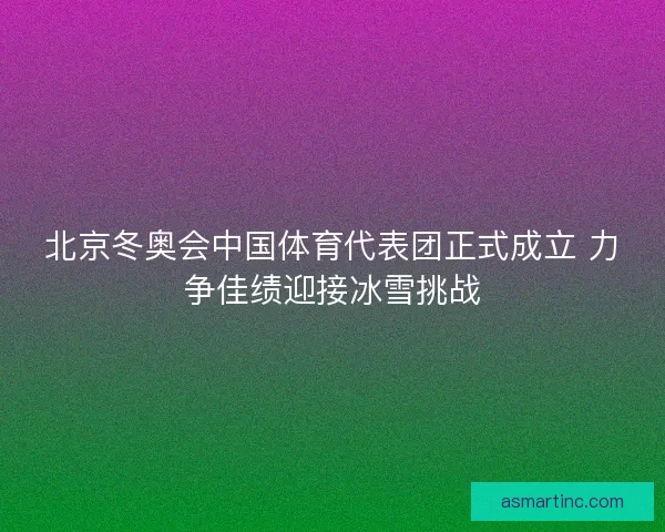 北京冬奥会中国体育代表团正式成立 力争佳绩迎接冰雪挑战